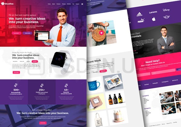 BlueRex Landing Page