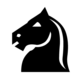 bN