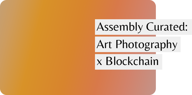 Assembly project