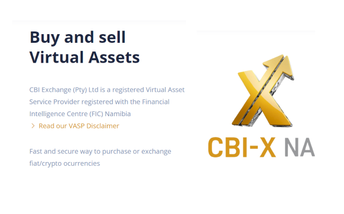 CBI-X project